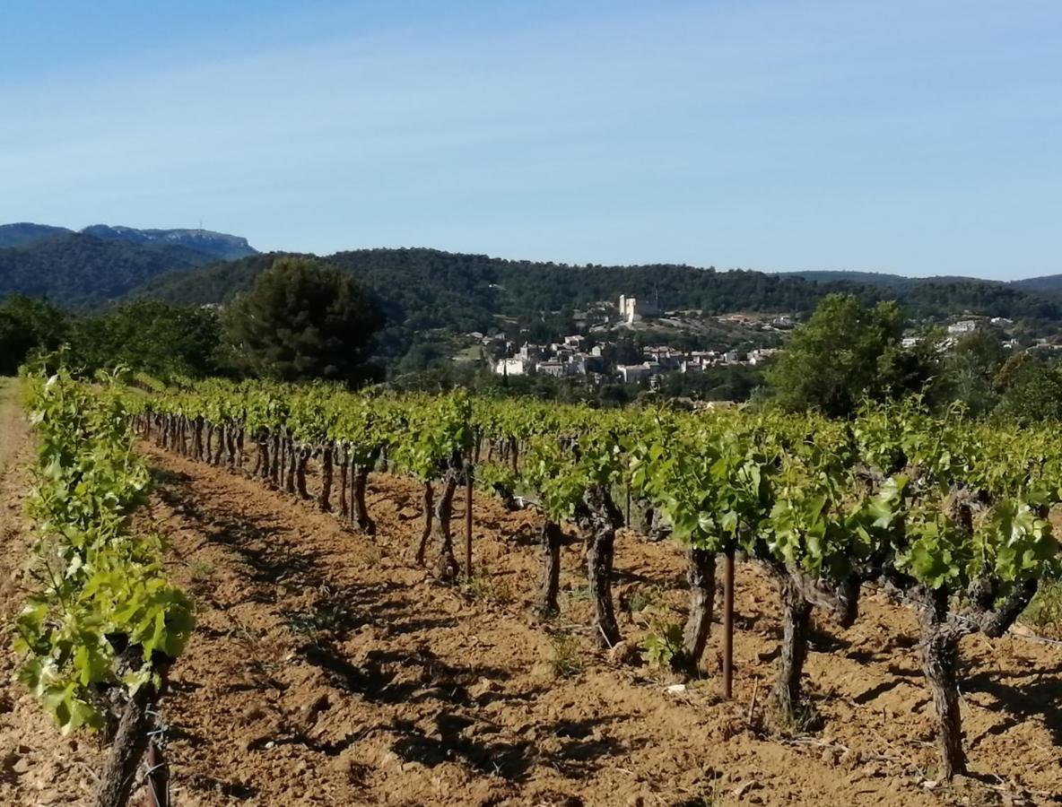 Au Villadior - Vaison La Romaine Exterior foto
